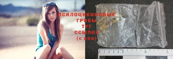 бошки Бородино