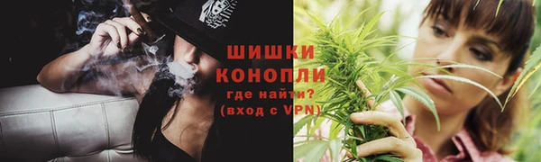 молекула духа Сосновый Бор