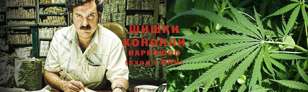 бошки Бородино
